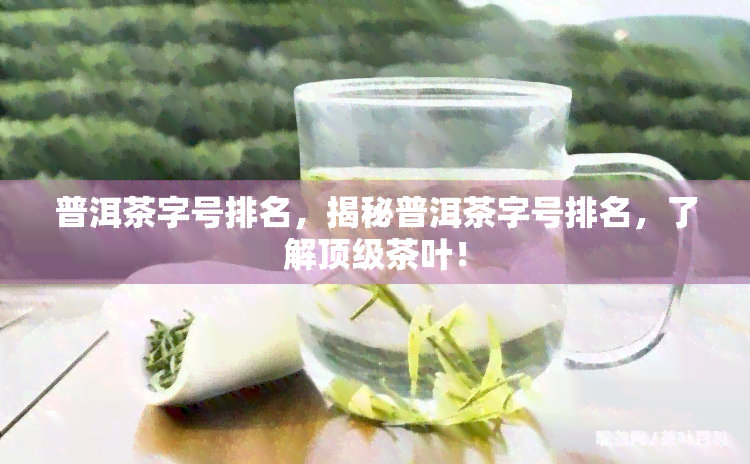 普洱茶字号排名，揭秘普洱茶字号排名，了解顶级茶叶！