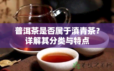 普洱茶是否属于滇青茶？详解其分类与特点