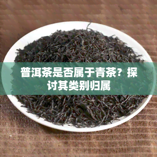 普洱茶是否属于青茶？探讨其类别归属