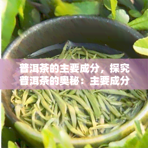 普洱茶的主要成分，探究普洱茶的奥秘：主要成分解析