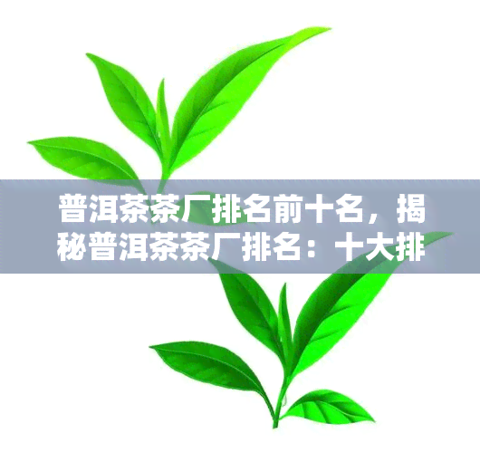 普洱茶茶厂排名前十名，揭秘普洱茶茶厂排名：十大排行榜