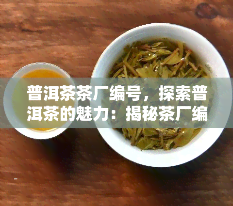 普洱茶茶厂编号，探索普洱茶的魅力：揭秘茶厂编号背后的故事