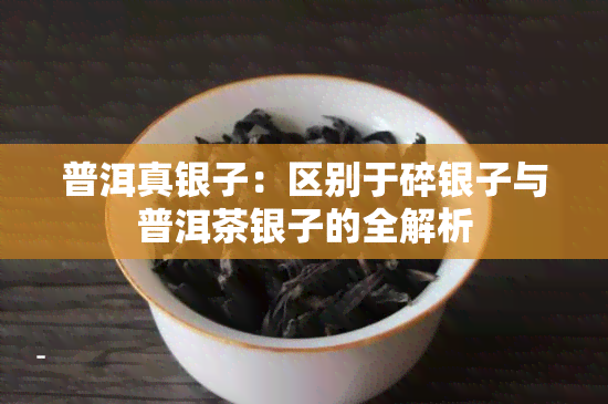 普洱真银子：区别于碎银子与普洱茶银子的全解析