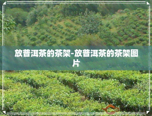 放普洱茶的茶架-放普洱茶的茶架图片