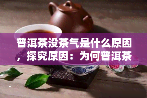 普洱茶没茶气是什么原因，探究原因：为何普洱茶没有茶气？