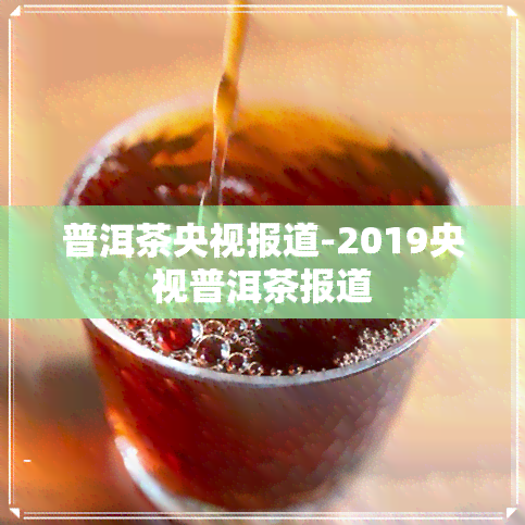 普洱茶央视报道-2019央视普洱茶报道