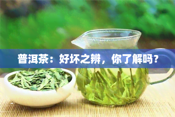 普洱茶：好坏之辨，你了解吗？