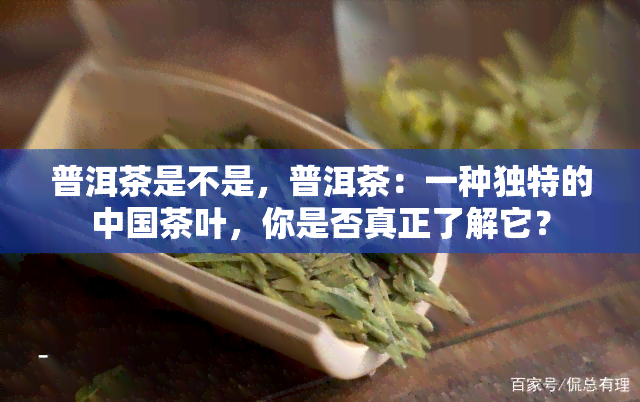 普洱茶是不是，普洱茶：一种独特的中国茶叶，你是否真正了解它？