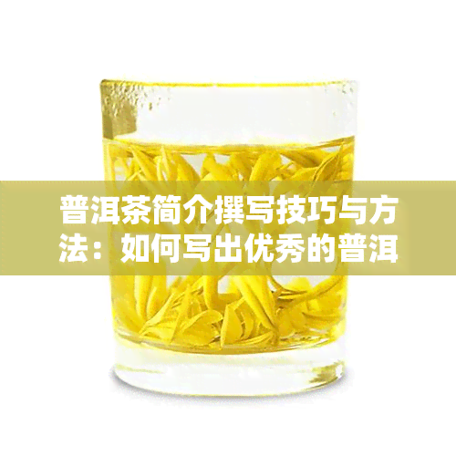 普洱茶简介撰写技巧与方法：如何写出优秀的普洱茶简介？