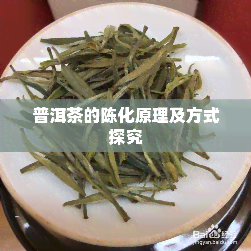 普洱茶的陈化原理及方式探究