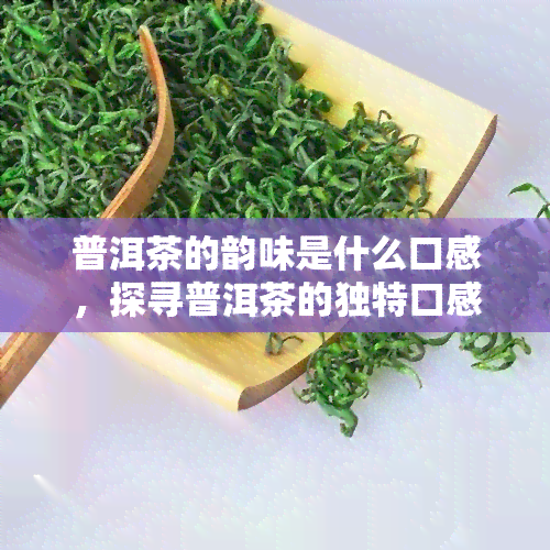 普洱茶的韵味是什么口感，探寻普洱茶的独特口感：品味其深沉而丰富的韵味