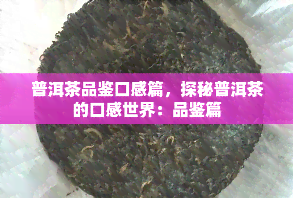 普洱茶品鉴口感篇，探秘普洱茶的口感世界：品鉴篇