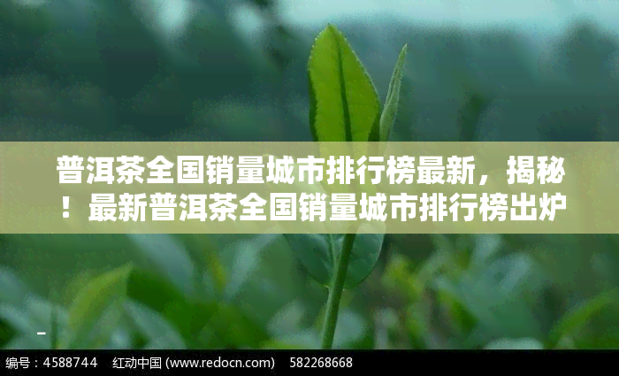 普洱茶全国销量城市排行榜最新，揭秘！最新普洱茶全国销量城市排行榜出炉，你的城市排名第几？