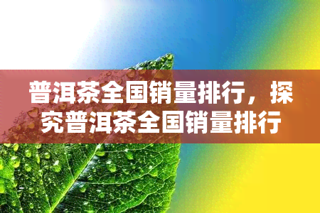 普洱茶全国销量排行，探究普洱茶全国销量排行榜，揭秘更受欢迎的普洱茶