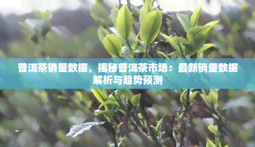 普洱茶销量数据，揭秘普洱茶市场：最新销量数据解析与趋势预测