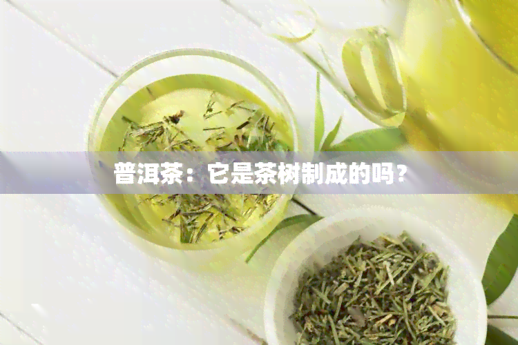 普洱茶：它是茶树制成的吗？