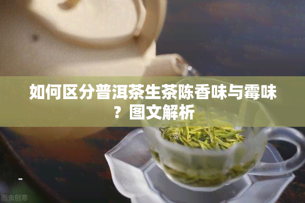 如何区分普洱茶生茶陈香味与霉味？图文解析