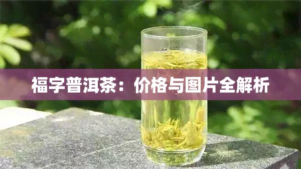 福字普洱茶：价格与图片全解析