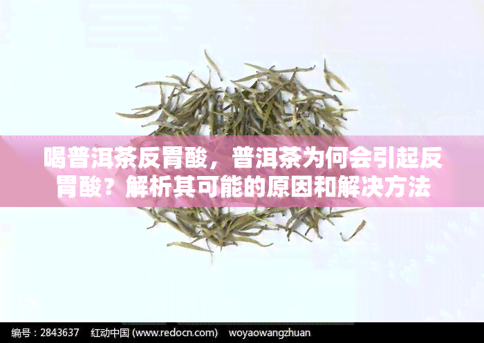 喝普洱茶反胃酸，普洱茶为何会引起反胃酸？解析其可能的原因和解决方法