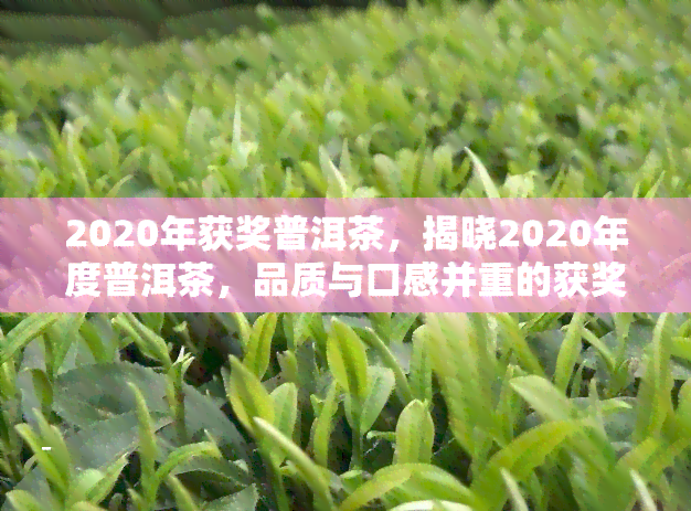 2020年获奖普洱茶，揭晓2020年度普洱茶，品质与口感并重的获奖茶叶一览