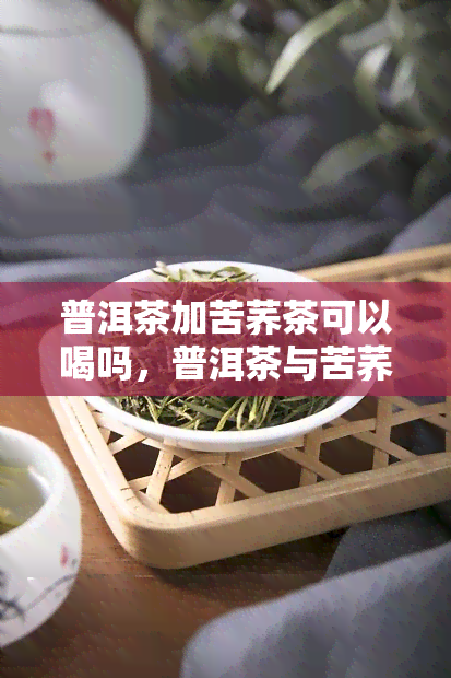 普洱茶加苦荞茶可以喝吗，普洱茶与苦荞茶的搭配：口感独特的健饮品选择