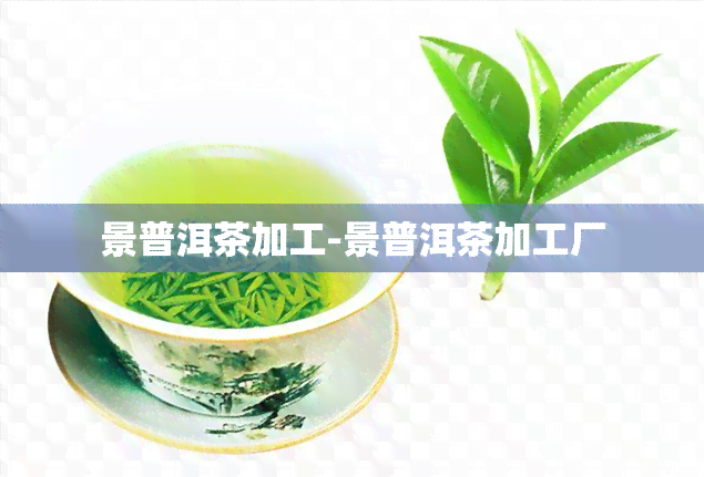 景普洱茶加工-景普洱茶加工厂