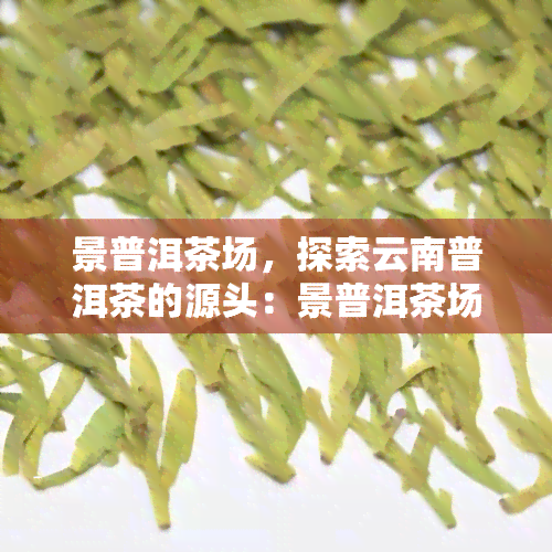 景普洱茶场，探索云南普洱茶的源头：景普洱茶场