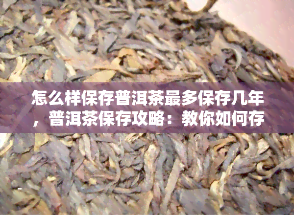 怎么样保存普洱茶最多保存几年，普洱茶保存攻略：教你如何存，最多可保存多少年？