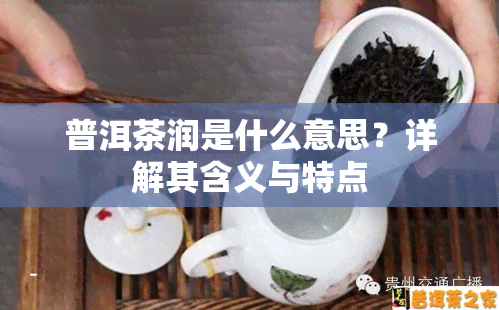 普洱茶润是什么意思？详解其含义与特点