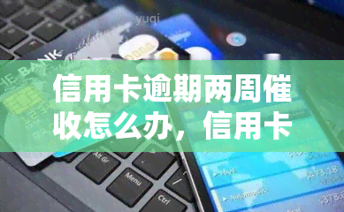 信用卡逾期两周怎么办，信用卡逾期两周：应对策略与解决办法