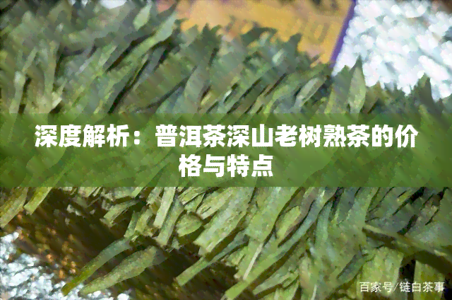 深度解析：普洱茶深山老树熟茶的价格与特点