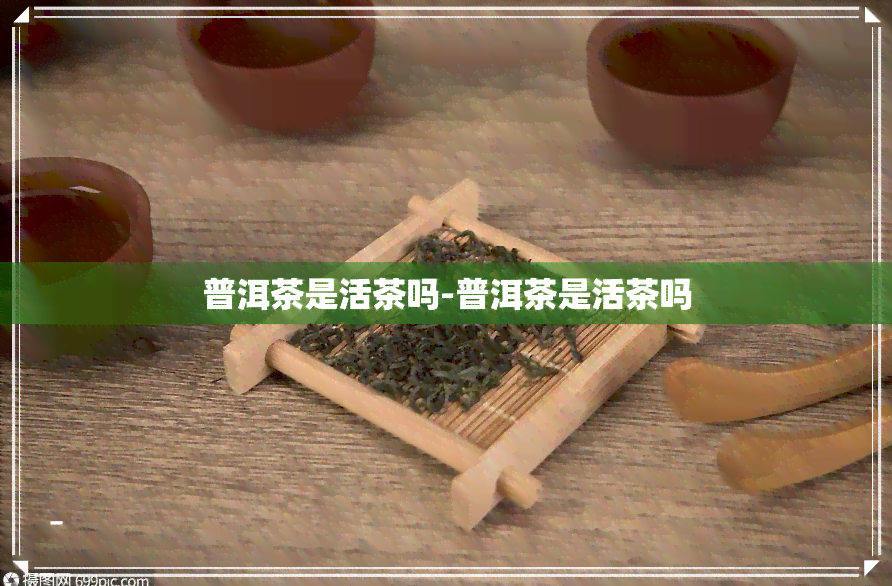 普洱茶是活茶吗-普洱茶是活茶吗