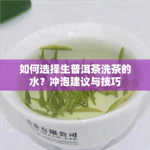 如何选择生普洱茶洗茶的水？冲泡建议与技巧