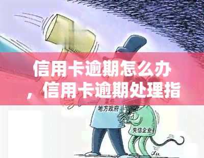 信用卡逾期怎么办，信用卡逾期处理指南：应对策略与建议