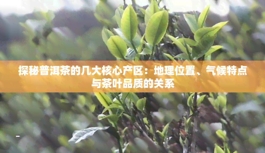 探秘普洱茶的几大核心产区：地理位置、气候特点与茶叶品质的关系