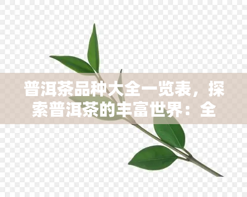 普洱茶品种大全一览表，探索普洱茶的丰富世界：全品种一览表