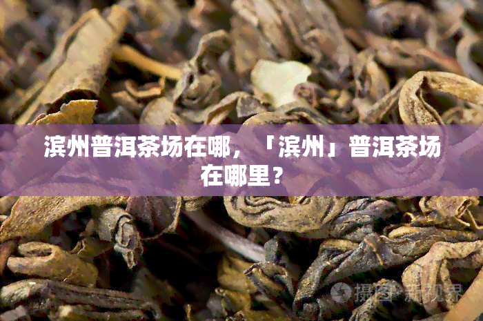 滨州普洱茶场在哪，「滨州」普洱茶场在哪里？