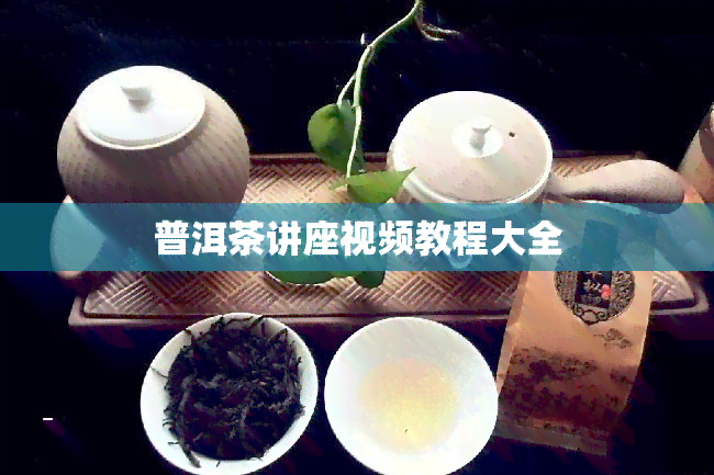 普洱茶讲座视频教程大全