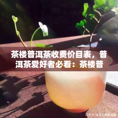 茶楼普洱茶收费价目表，普洱茶爱好者必看：茶楼普洱茶收费价目表一览