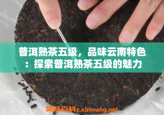 普洱熟茶五级，品味云南特色：探索普洱熟茶五级的魅力