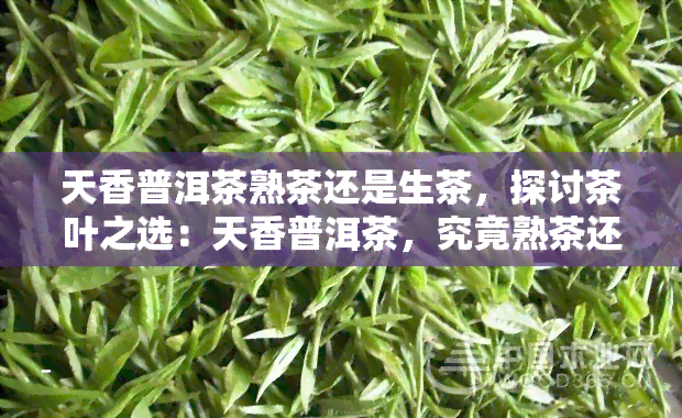 天香普洱茶熟茶还是生茶，探讨茶叶之选：天香普洱茶，究竟熟茶还是生茶更适合你？