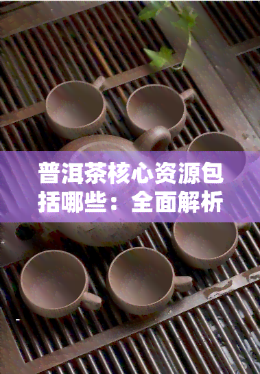 普洱茶核心资源包括哪些：全面解析其内容与方面