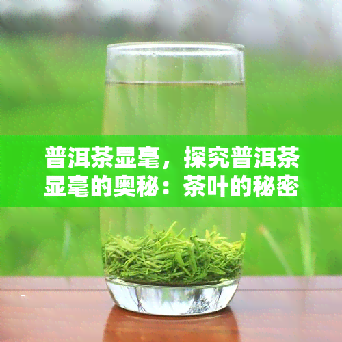 普洱茶显毫，探究普洱茶显毫的奥秘：茶叶的秘密武器