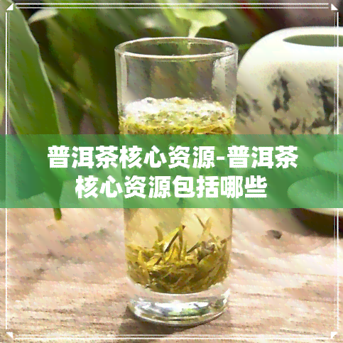 普洱茶核心资源-普洱茶核心资源包括哪些