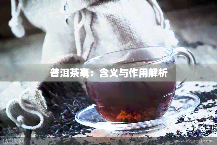 普洱茶毫：含义与作用解析