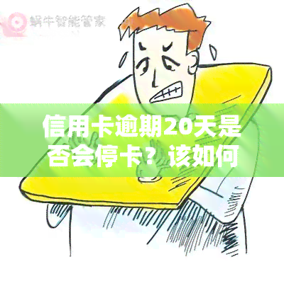 信用卡逾期20天是否会停卡？该如何处理？——知乎上的解答