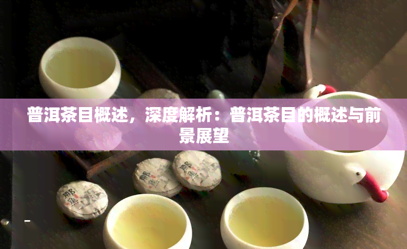 普洱茶目概述，深度解析：普洱茶目的概述与前景展望