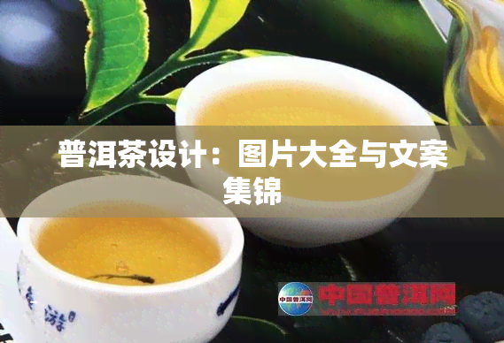 普洱茶设计：图片大全与文案集锦