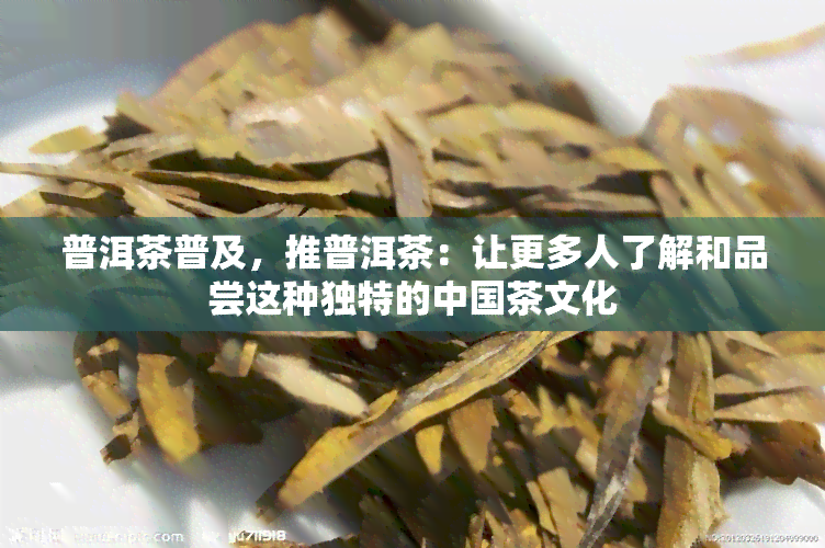 普洱茶普及，推普洱茶：让更多人了解和品尝这种独特的中国茶文化