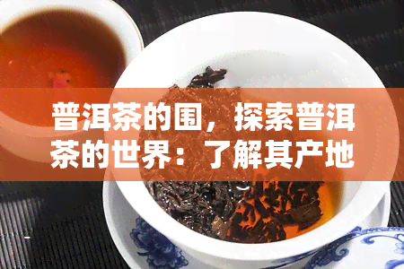 普洱茶的围，探索普洱茶的世界：了解其产地、种类和制作工艺